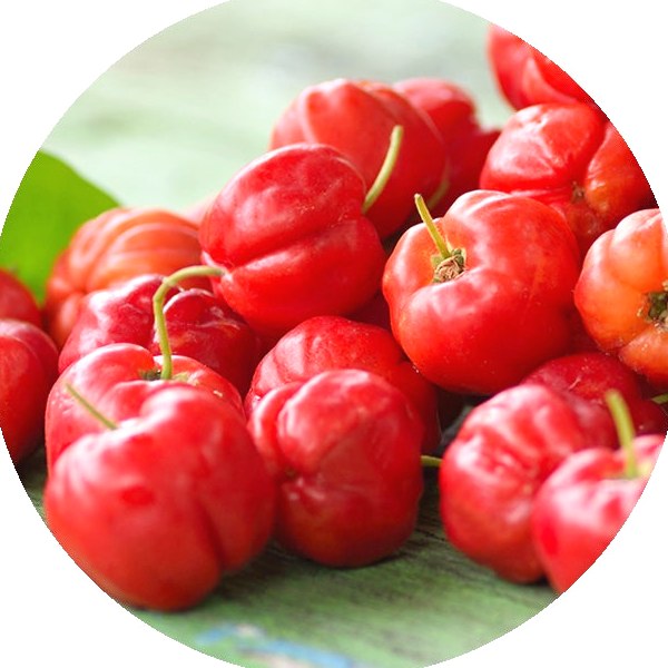Acerola cherry