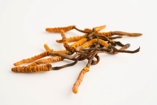 Cordyceps mushrooms